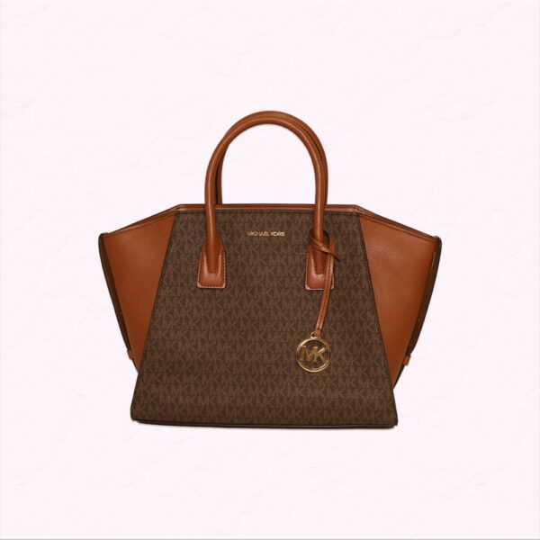 SMTZSATCHE BROWN
